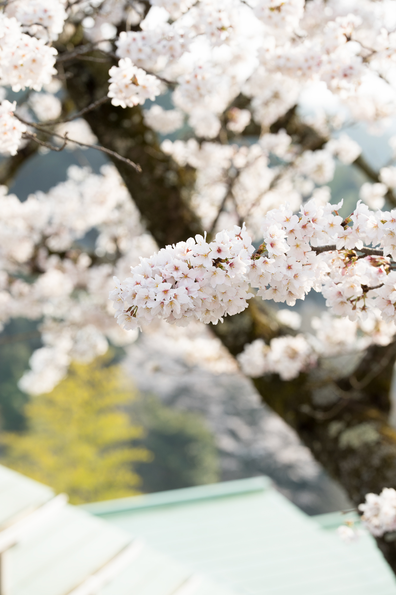 高塚愛宕地蔵尊